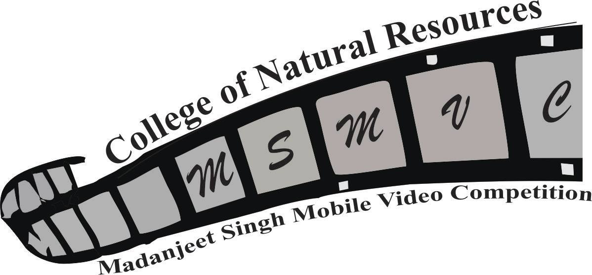 Screenshot of the video entries of mobile video competition